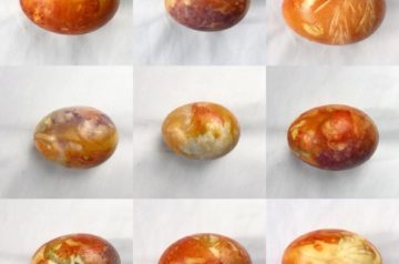 dyed eggs on white background