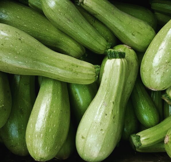 Green marrow on a black background