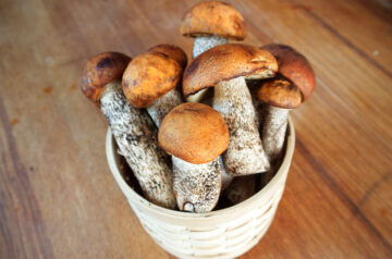 Wild mushrooms in a white basket